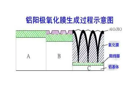 铝型材硬质阳极氧化膜生成过程